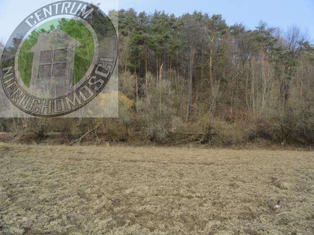 gratka-2915 - Widok 3