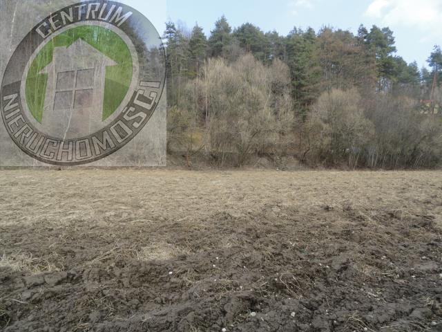 gratka-2918 - Widok 2