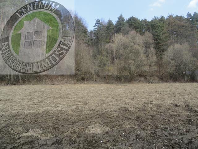 gratka-2918 - Widok 3