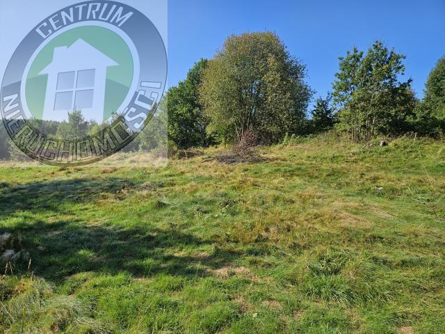 gratka-2880 - Widok 5