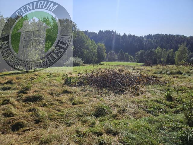 gratka-2880 - Więcej
