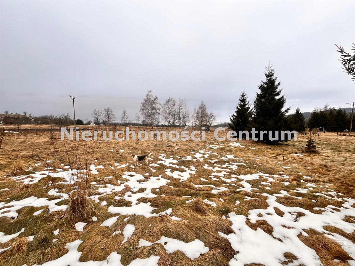 gratka-CEN-GS-15697 - Widok 2