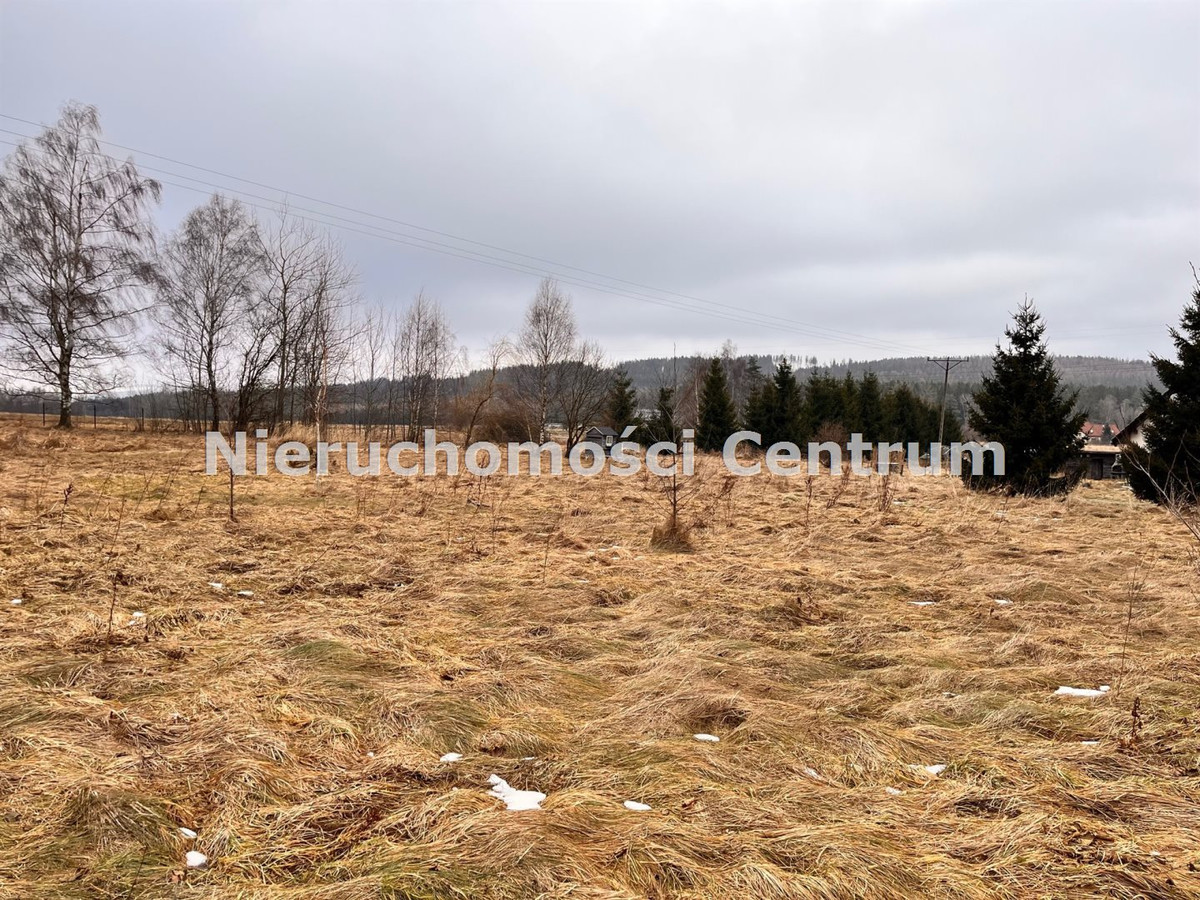 gratka-CEN-GS-15697 - Widok 4