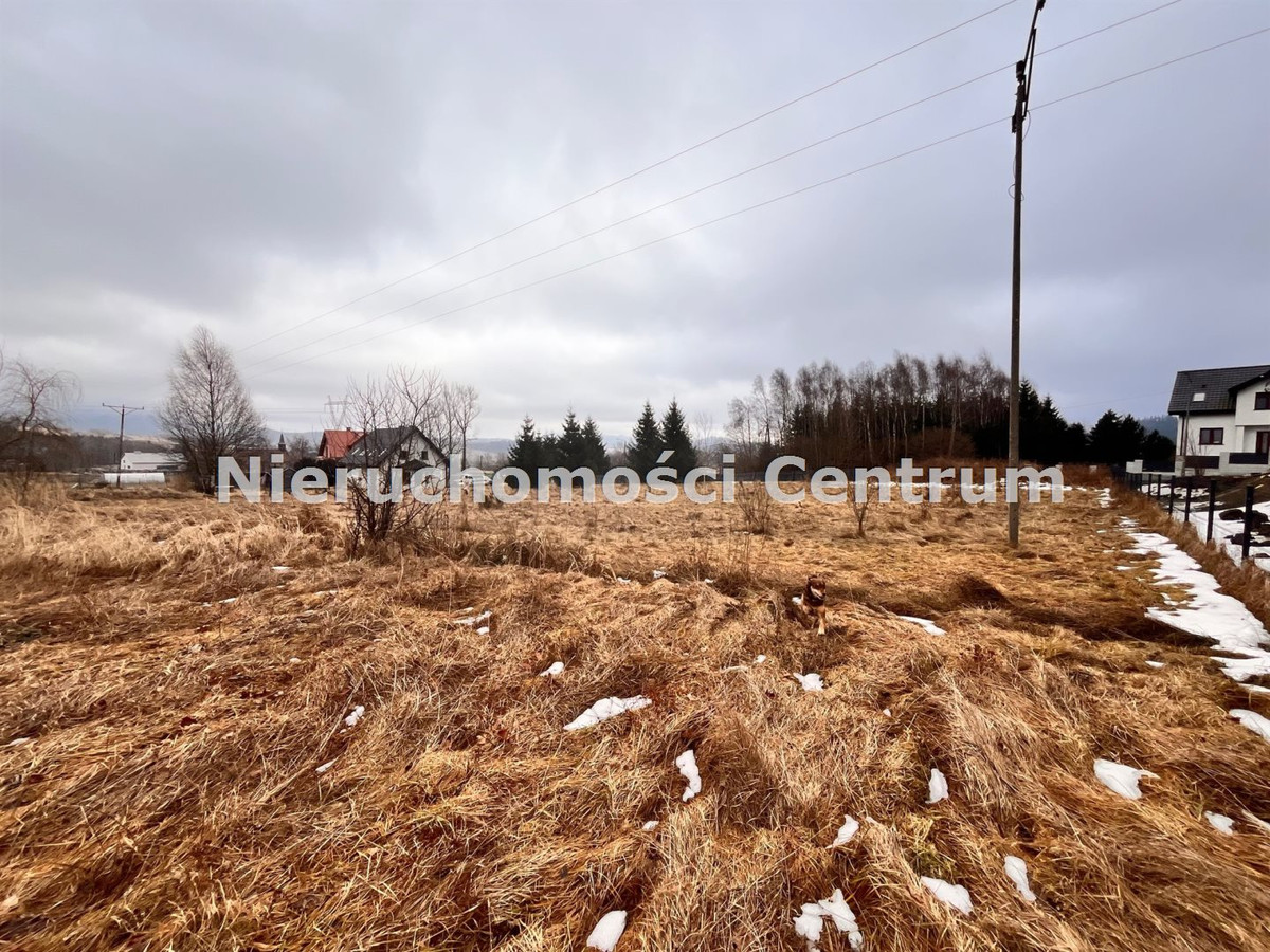 gratka-CEN-GS-15697 - Widok 5