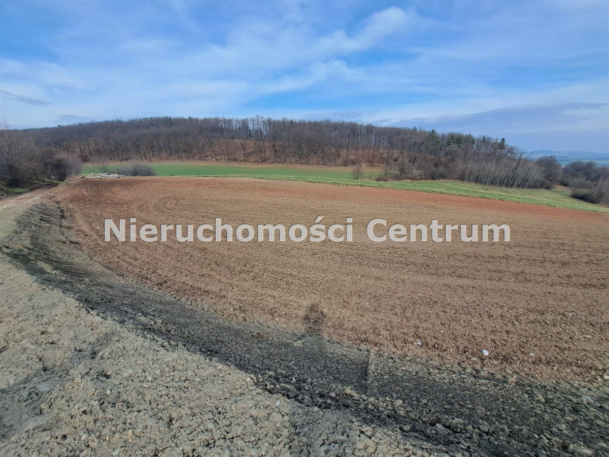 gratka-CEN-GS-15393 - Widok 2