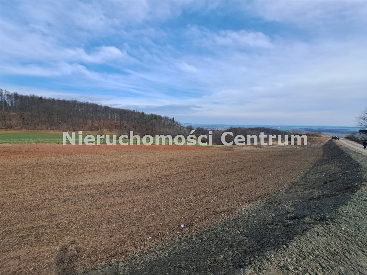 gratka-CEN-GS-15393 - Widok 3