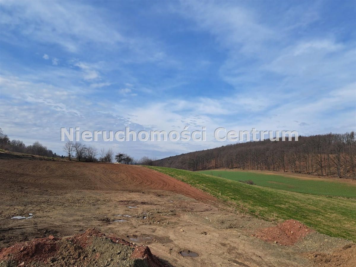 gratka-CEN-GS-15393 - Widok 5