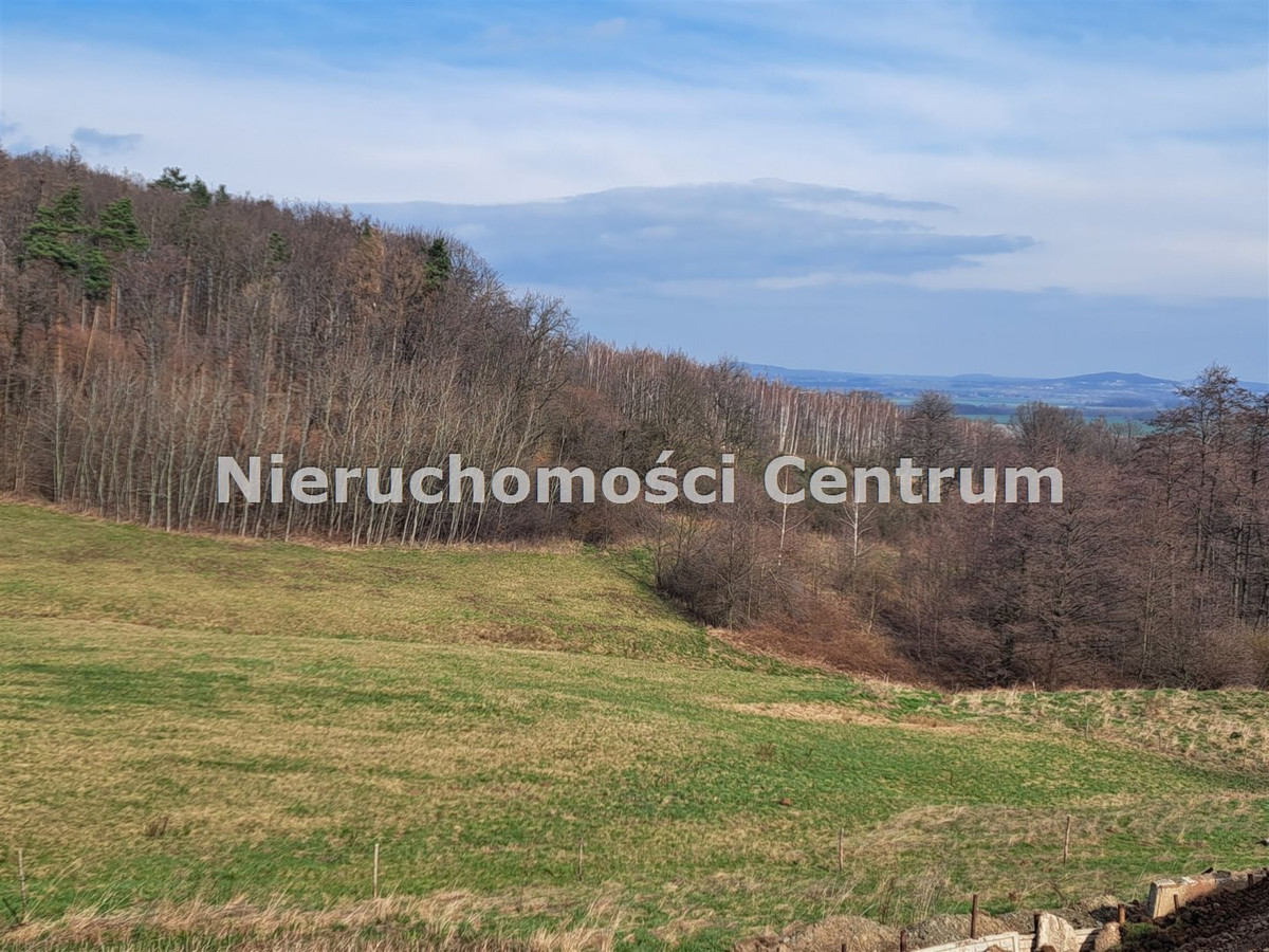 gratka-CEN-GS-15393 - Więcej