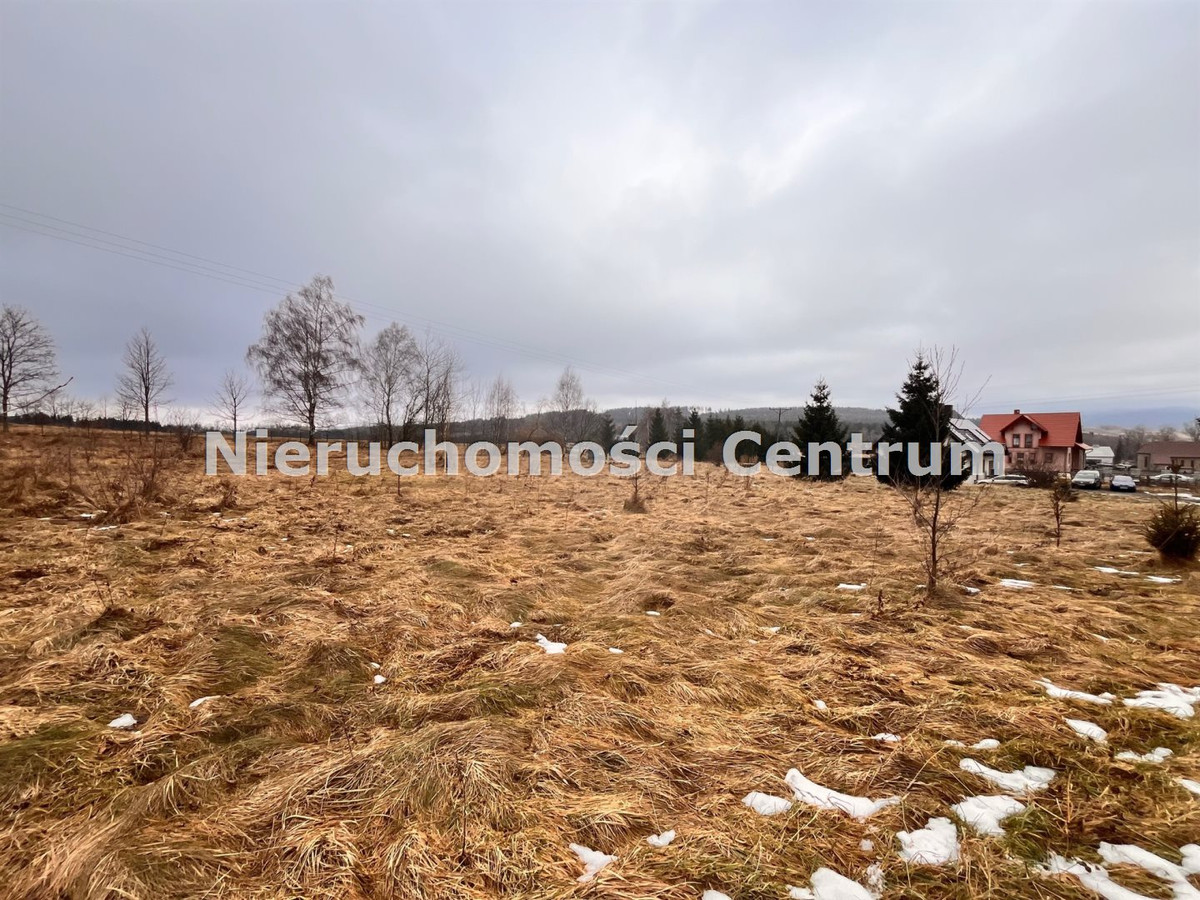 gratka-CEN-GS-15697 - Widok 3