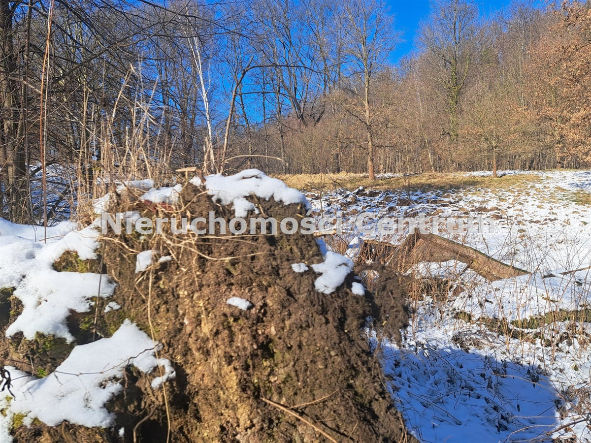 gratka-CEN-GS-14756 - Widok 5