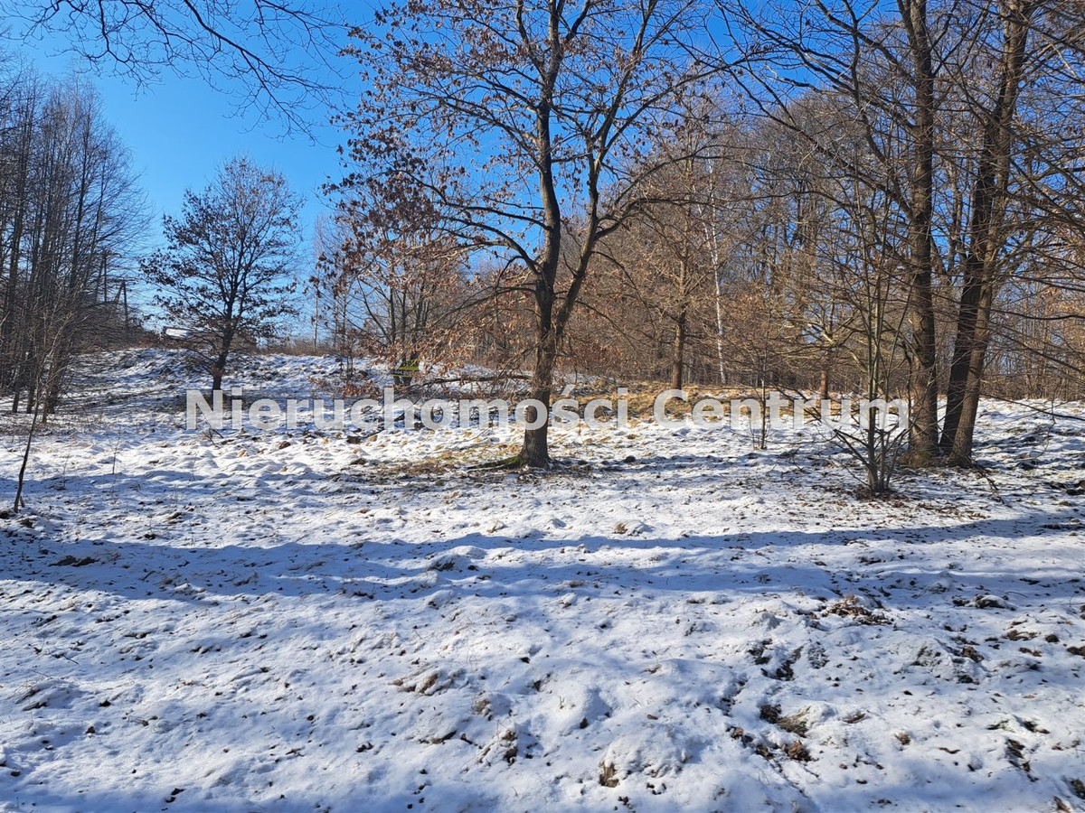gratka-CEN-GS-14756 - Widok 3