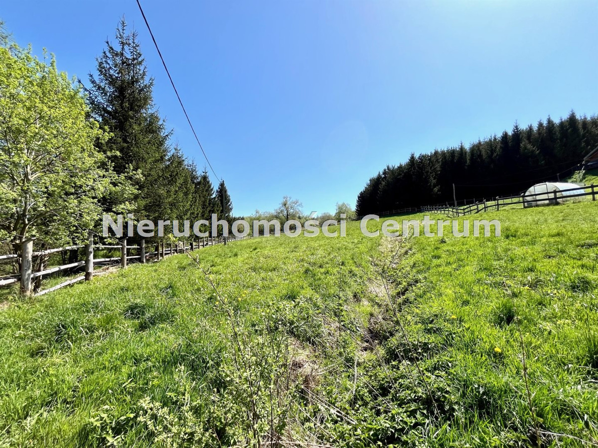 gratka-CEN-GS-15103 - Widok 3