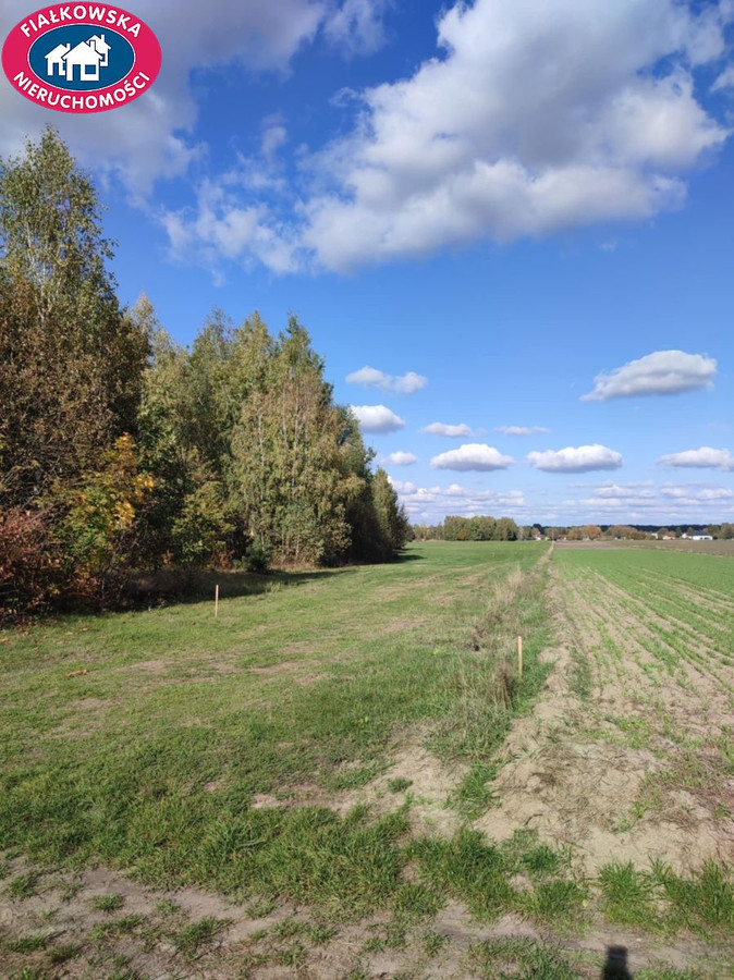 Grunt na sprzedaż, Bednary, 1784.00 m² - View 4