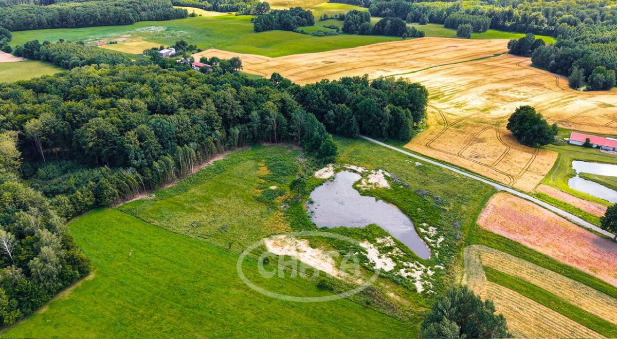 Atrakcyjna działka/Pojezierze Iławskie/Budowlana - Widok 5
