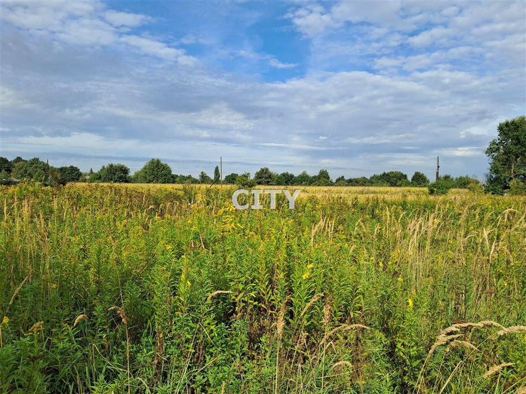 Działka budowlana Wrocław Psie Pole - Widok 2