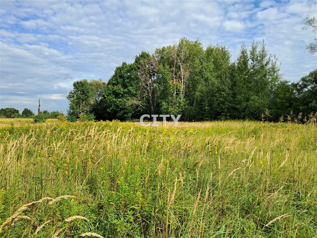 Działka budowlana Wrocław Psie Pole - Widok 3