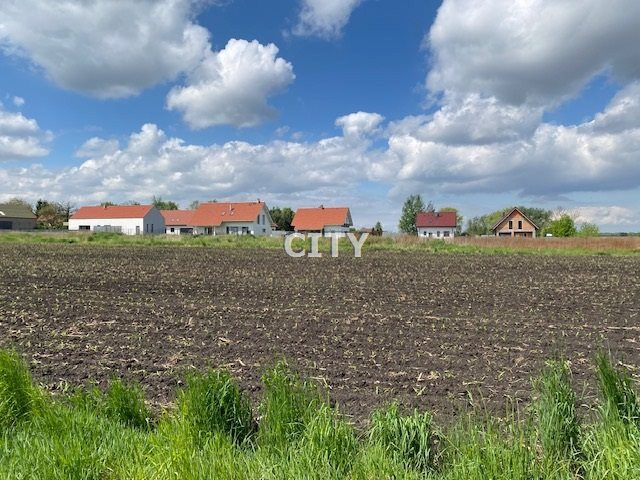 Działka budowlana/gmina Żórawina - Widok 4