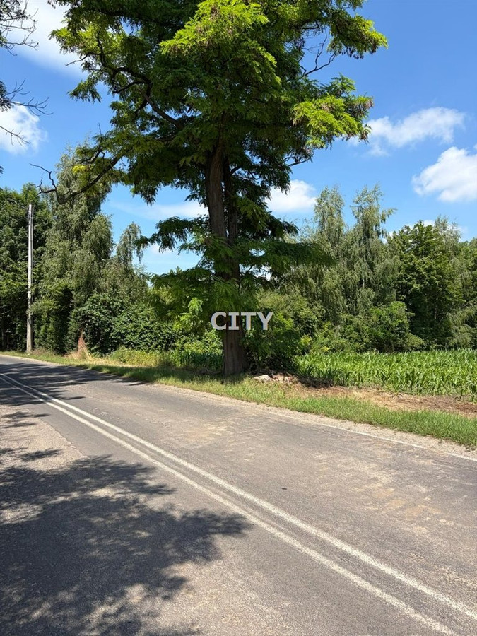 Działka budowlana w pobliżu dużego, pięknego parku - Widok 2
