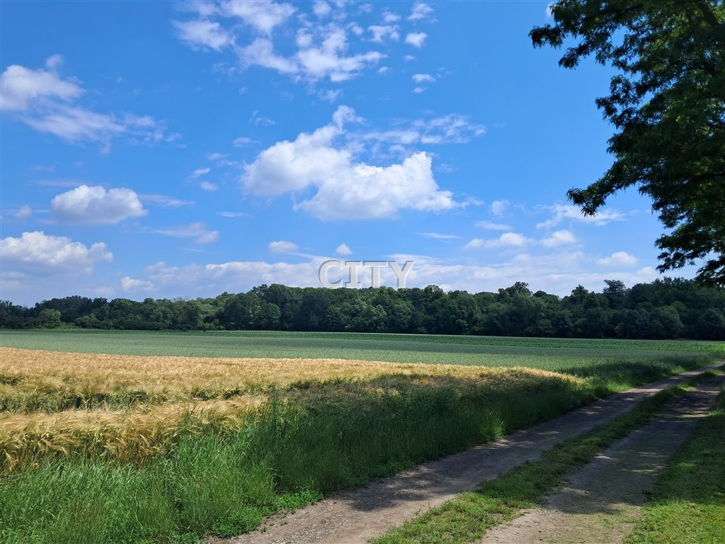 Działka budowlana w pobliżu dużego, pięknego parku - Widok 4