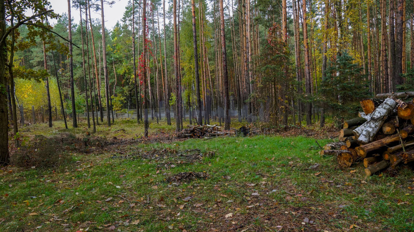 Piękna działka budowlana przy rezerwacie przyrody - Widok 5