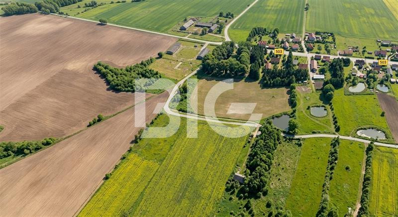 Trzy działki z Warunkami Zabudowy – 3000 m² | Tolk - Widok 2