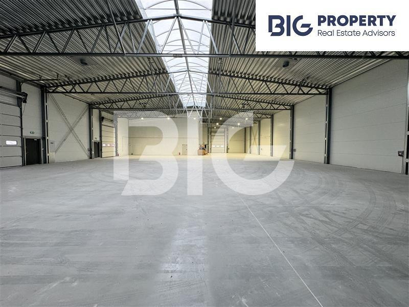 Lokal, 1216 m²