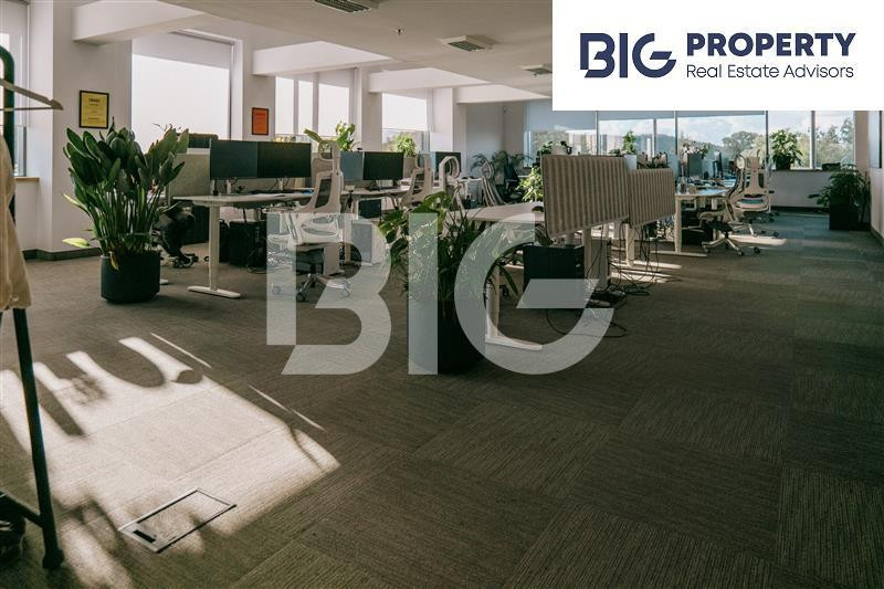 Commercial property, 303 m²