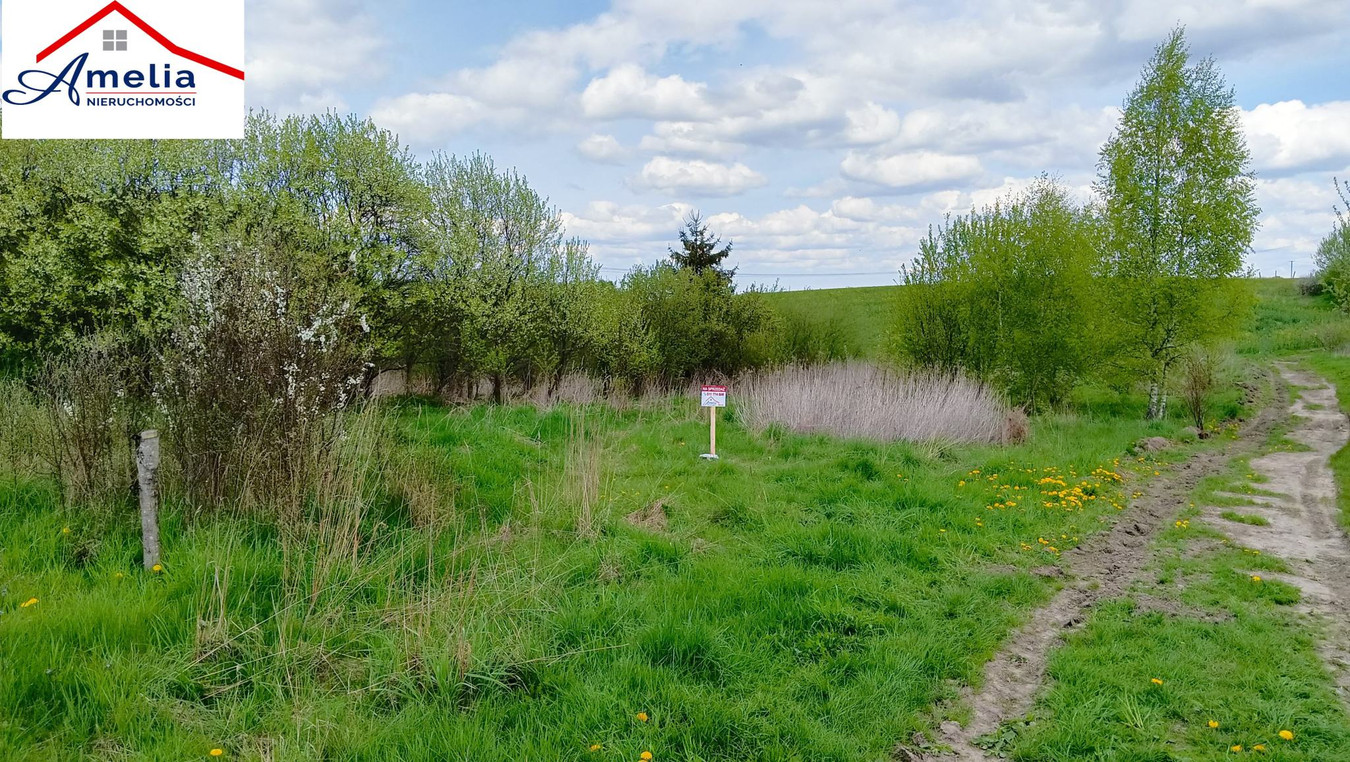 Land, 2317 m²
