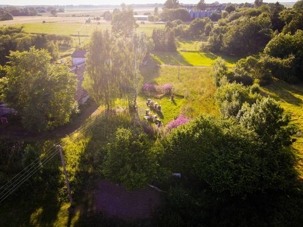 gratka-45596/3186/OGS - Widok 2