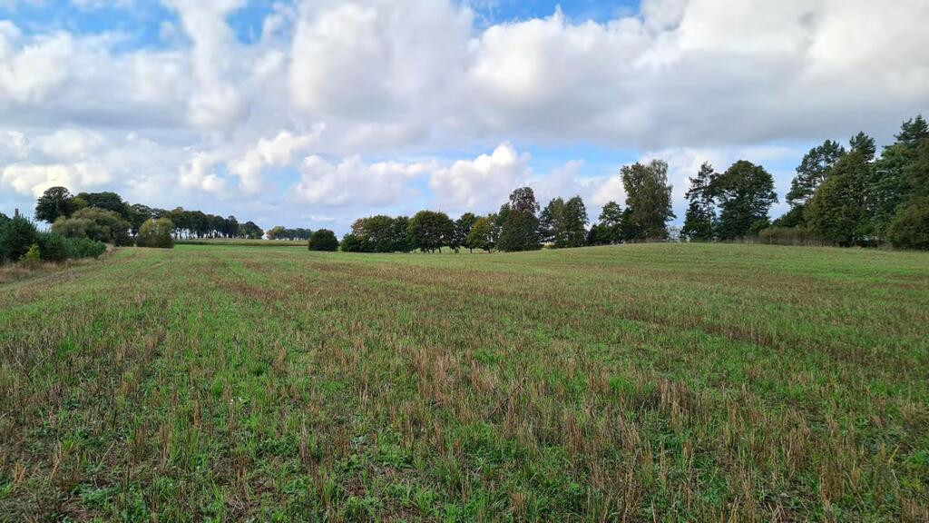 Przetarg - obręb Stary Wiec -działka niezabudowana - Widok 3