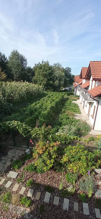 Dom – Kraków - Więcej