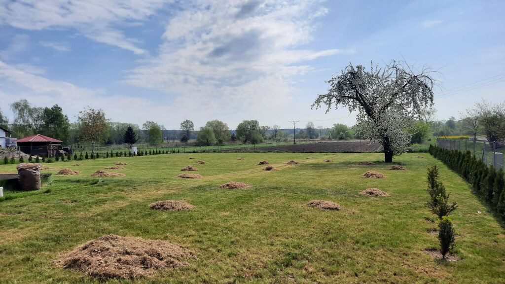 Działka budowlana 900 m² | Bielawa gm. Długołęka | 259 000 zł - Widok 5