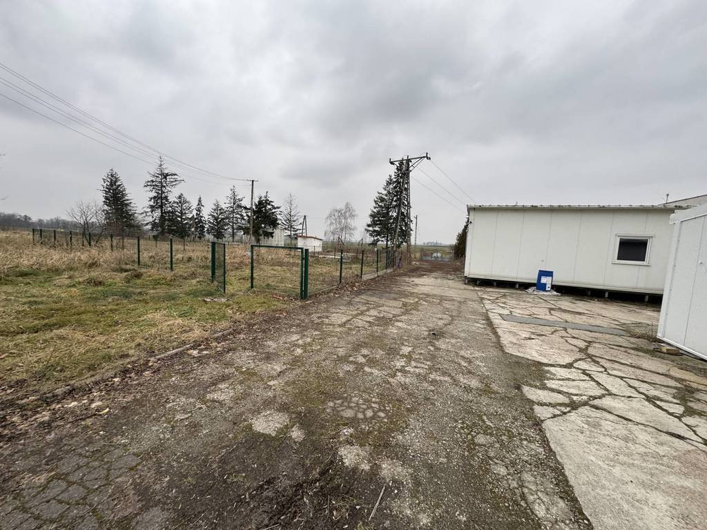 gratka-10702/3186/OOS - Widok 3
