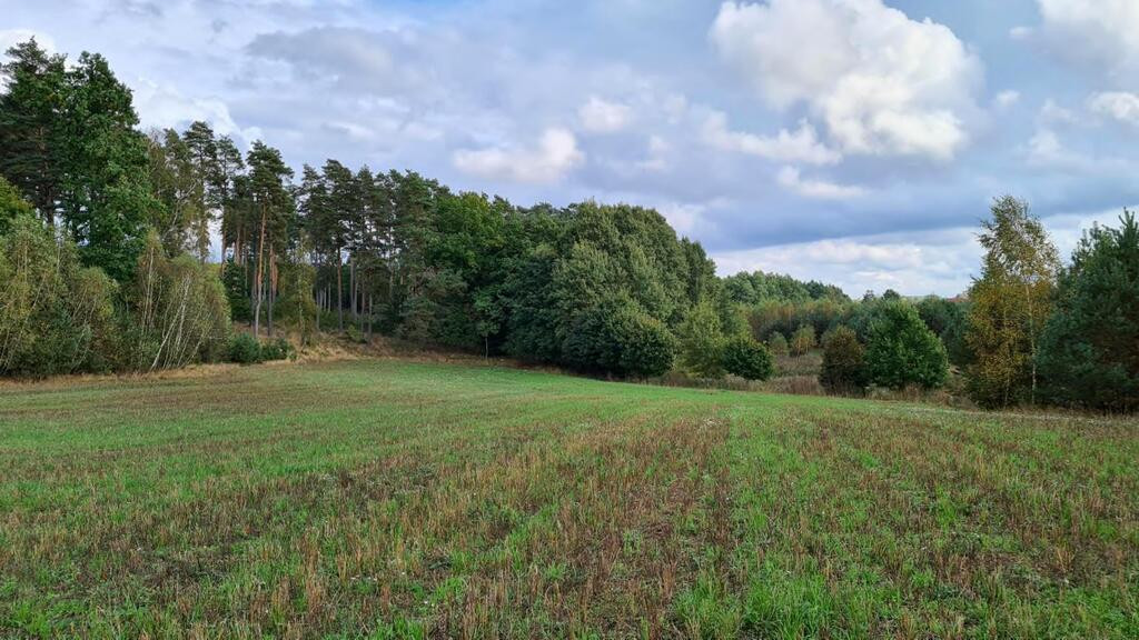 Przetarg - obręb Stary Wiec -działka niezabudowana - Widok 2