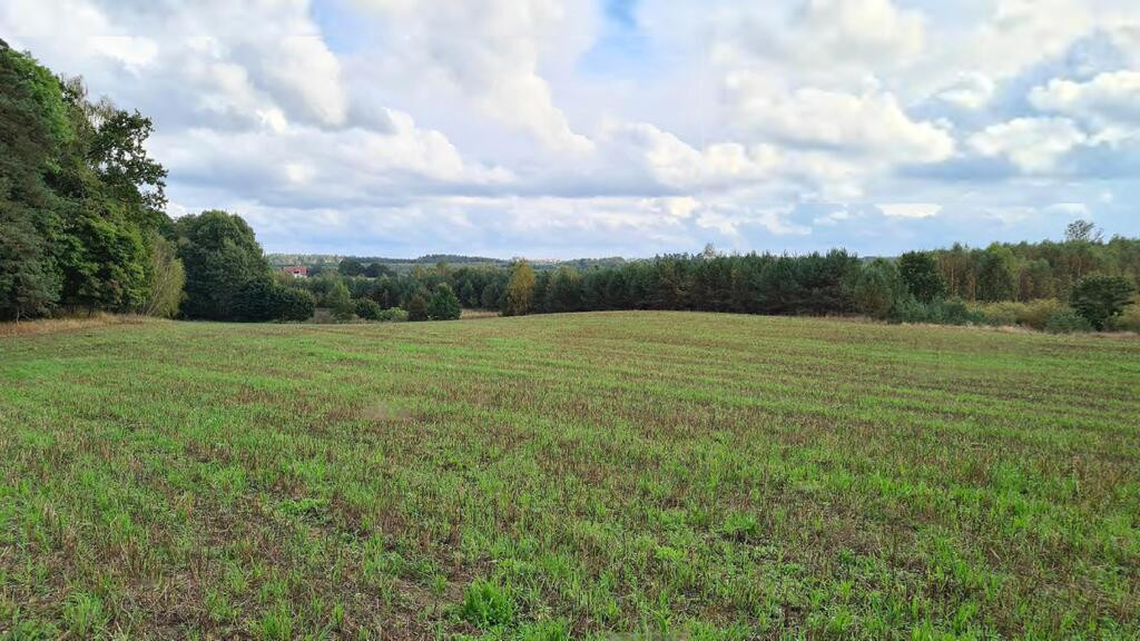 Przetarg - obręb Stary Wiec -działka niezabudowana - Widok 4