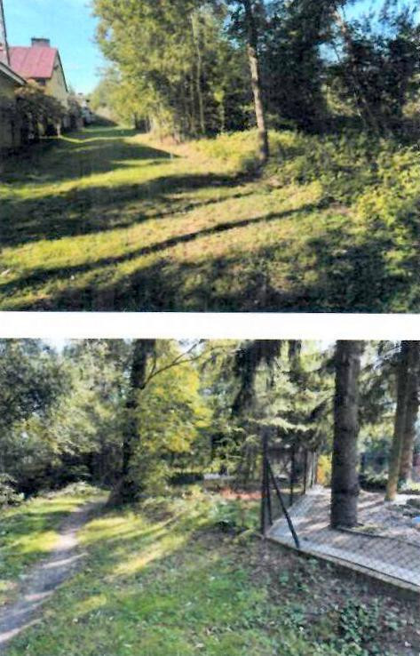Sprzedaż w wolnej ręki - Budy-Grzybek gm. Jaktorów - Widok 3