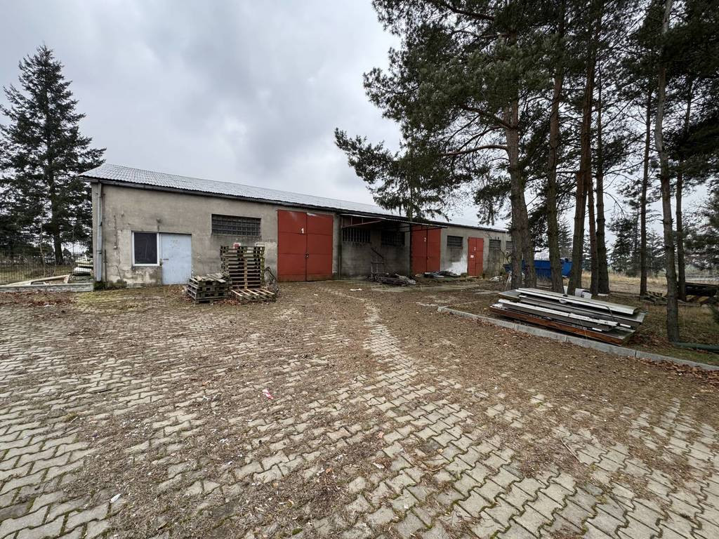 gratka-10702/3186/OOS - Widok 2