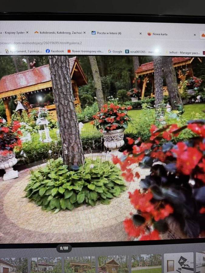 Dom – Ozorków, Sokolniki-Las - Więcej