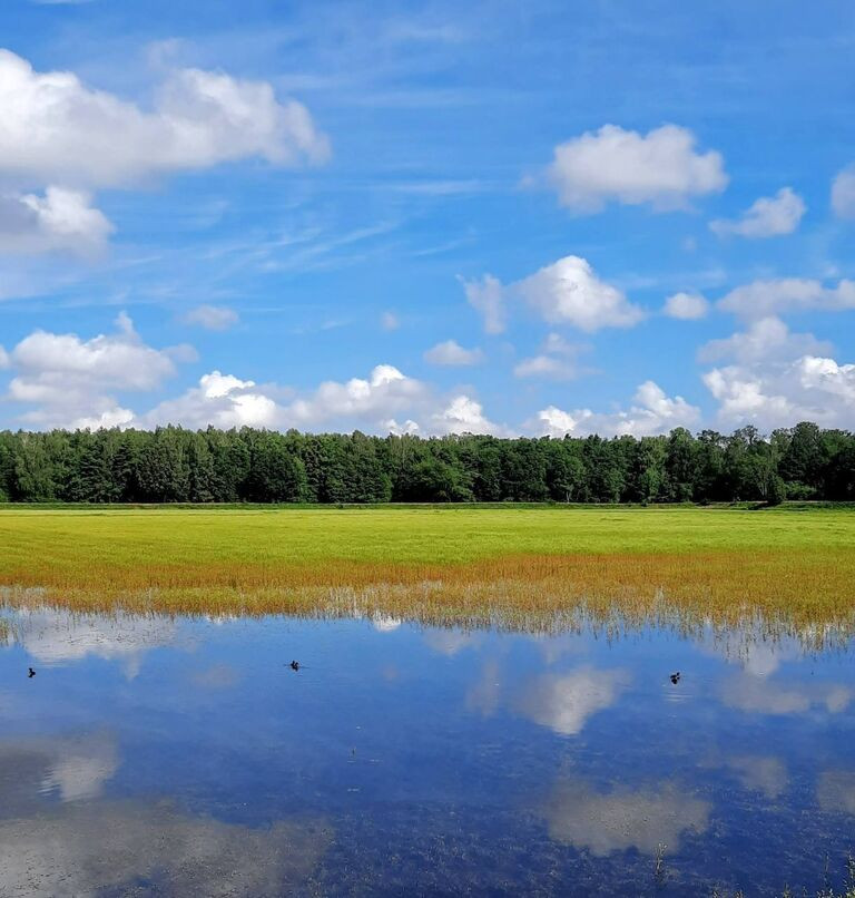 Działka budowlana 900 m² | Bielawa gm. Długołęka | 259 000 zł - Widok 4