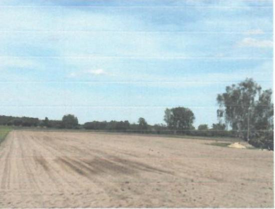 Dom – Ćmiszew Rybnowski - Widok 4