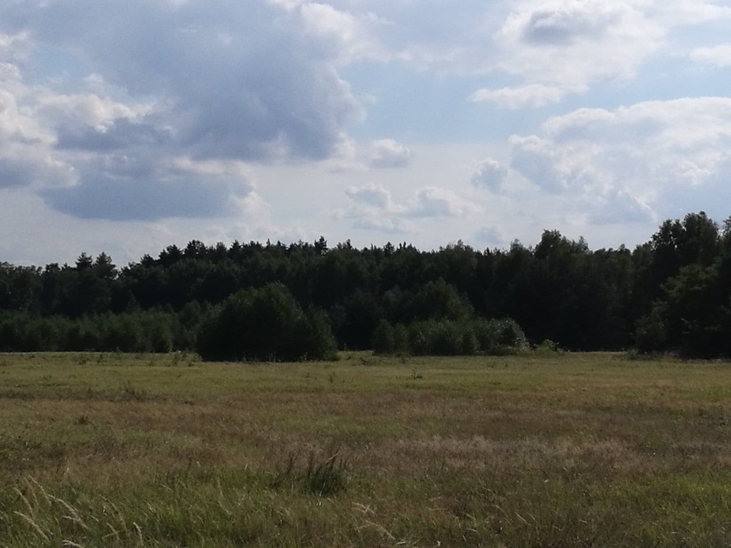 Konkurs ofert - Więcej