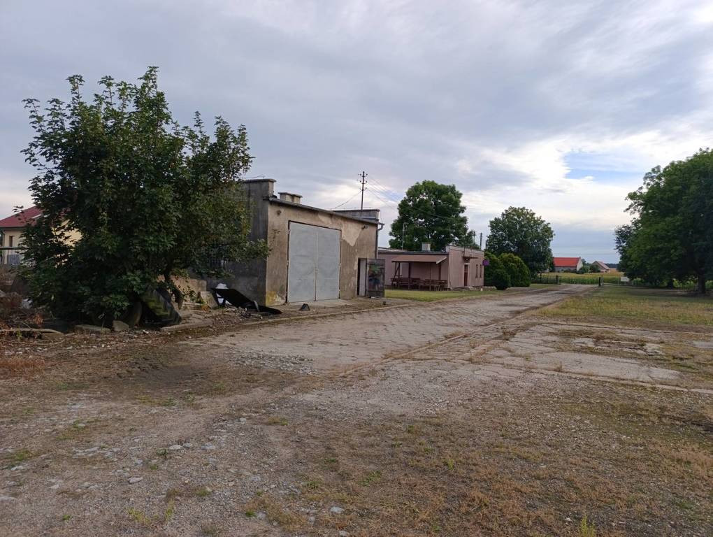 gratka-10706/3186/OOS - Więcej