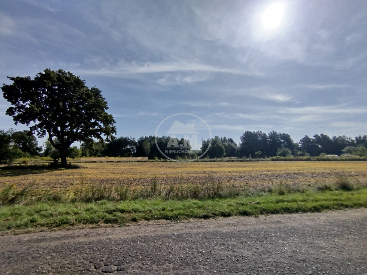 Działka z WZ | Chodlewo | Blisko S5 i PKP - Więcej