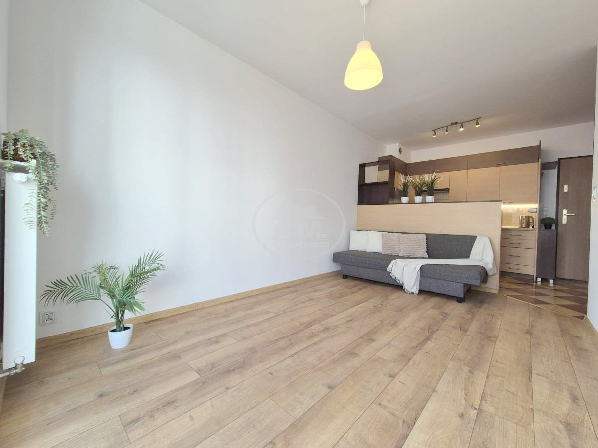 Apartment in Wrocław, Trójkąt, Krzyki - Widok 4