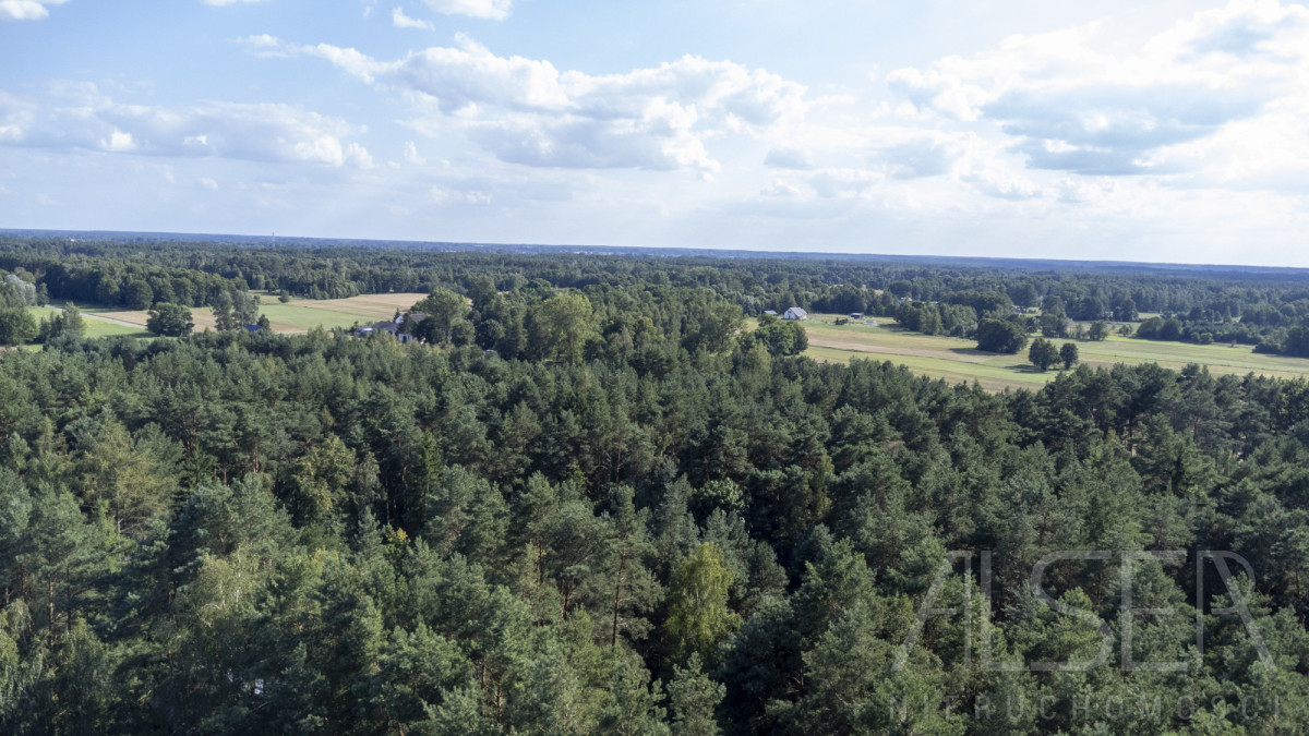 Zalesiona działka objęta MPZP | 100m. od Narwi - Widok 4