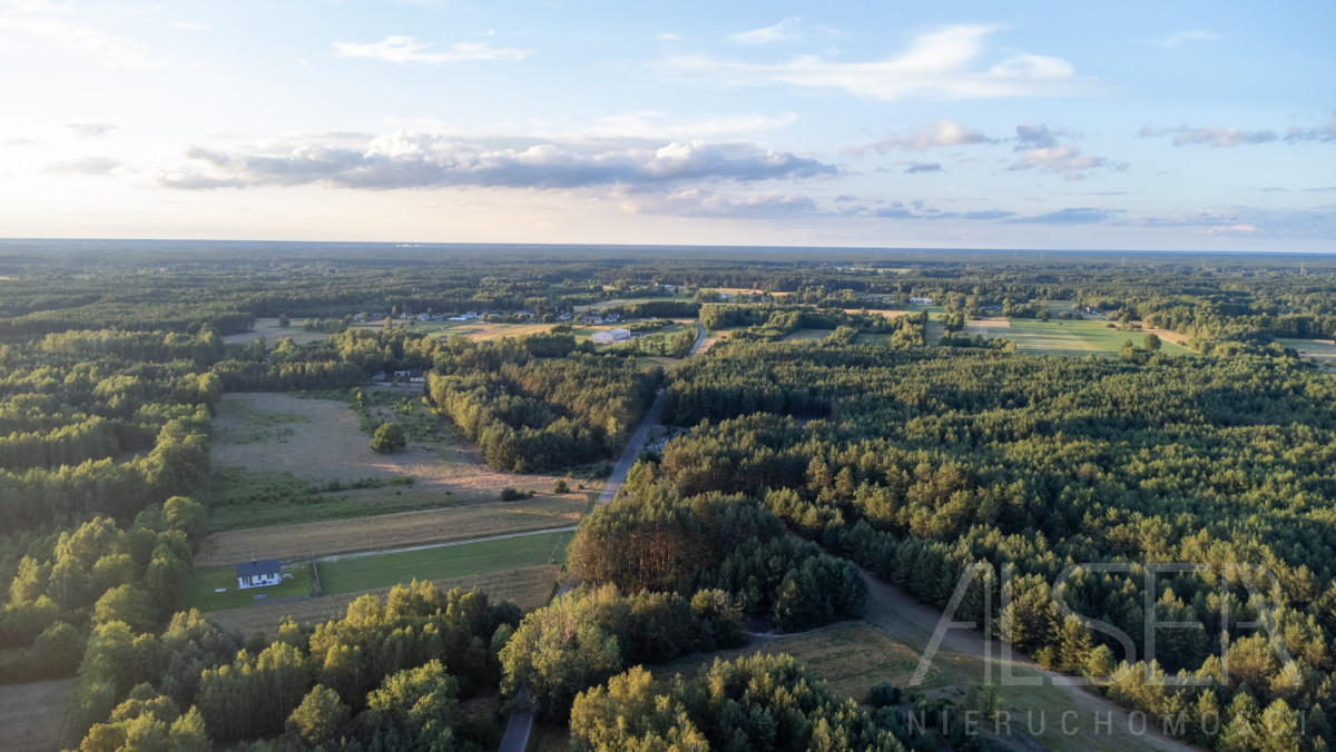 Ładna prostokątna działka w całości zalesiona - Widok 5