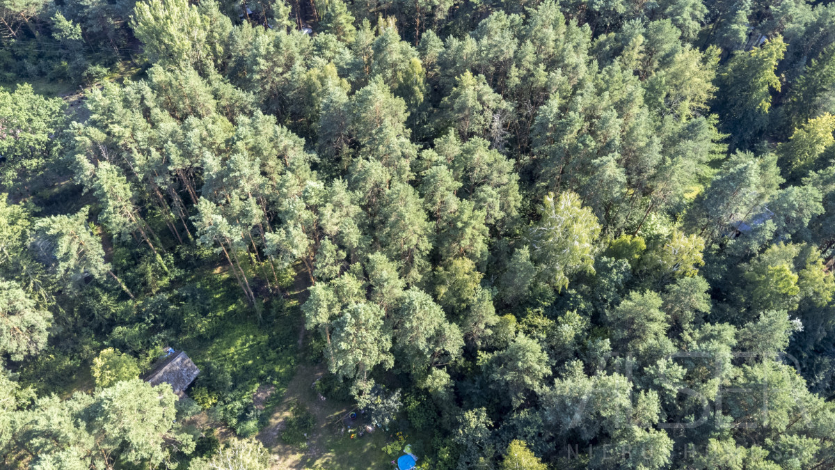 Zalesiona działka objęta MPZP | 100m. od Narwi - Widok 5