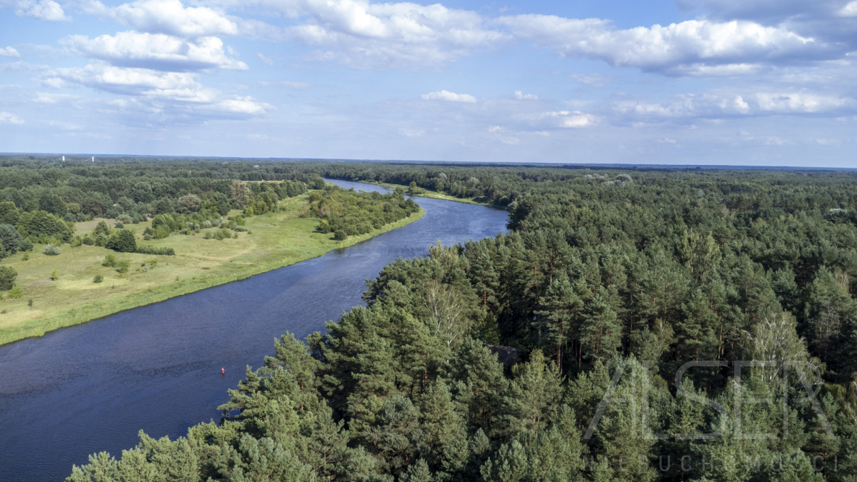 Zalesiona działka objęta MPZP | 100m. od Narwi - Widok 3