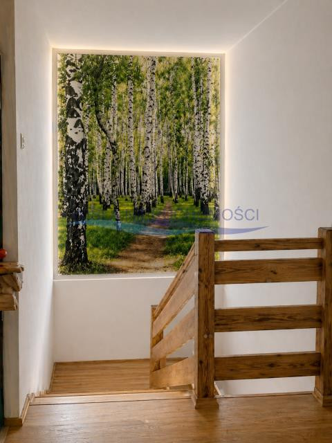 Apartment in Ząbki, powiat wołomiński - Widok 5