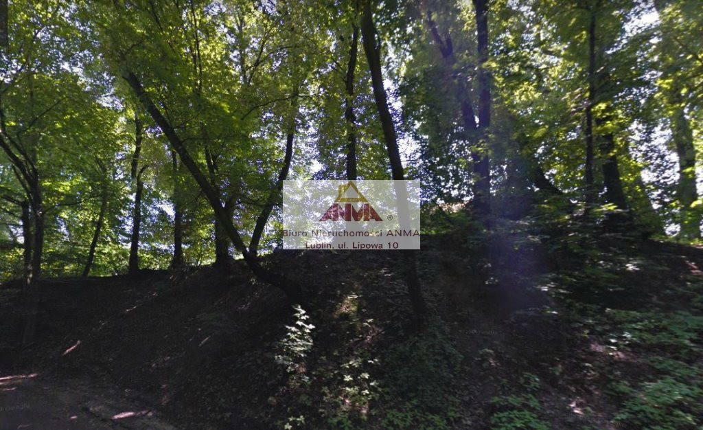 gratka-AMN-GS-30039-12 - Widok 2